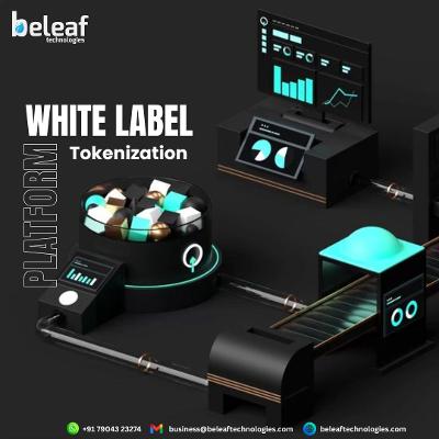 Services: Asset Tokenization Platform Service Available